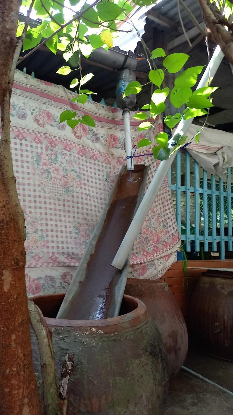 Cận cảnh nơi phát sinh mầm bệnh sốt xuất huyết nhà nào cũng có ảnh 8