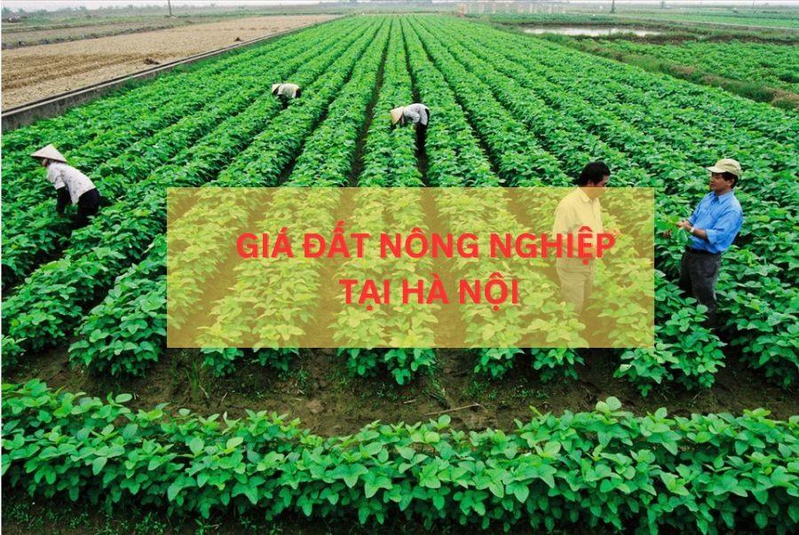 Cập nhật bảng giá đất nông nghiệp Hà Nội mới nhất năm 2023