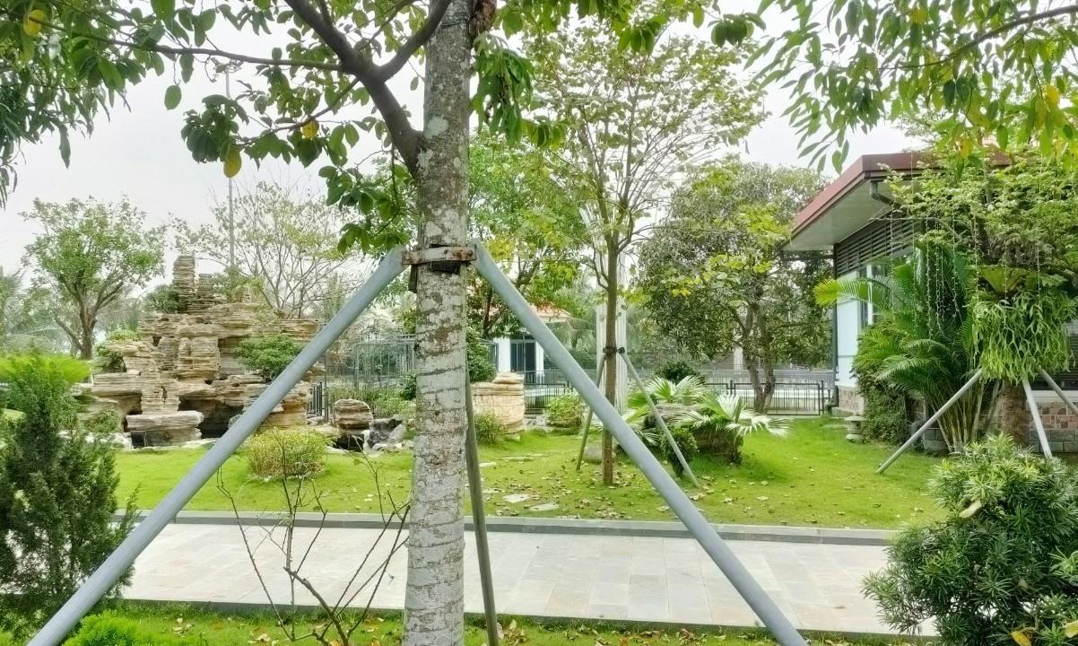 Bên trong khu trang trại của gia đình bà Hứa Thị Gấm được đầu tư xây dựng hoành tráng, có bể bơi, lầu bát giác, sân vườn, cây xanh…Ảnh: Quách Du