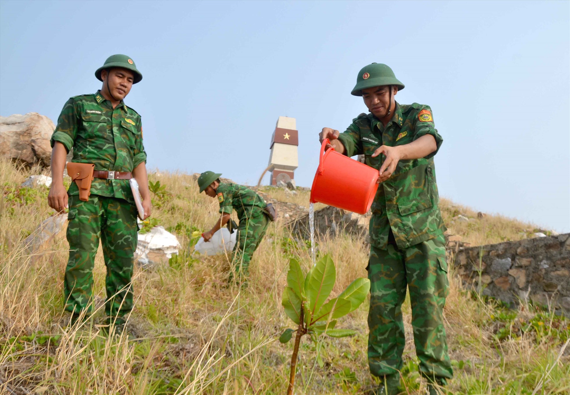 Chắc chiu từng giọt nước ngọt cho cây vươn màu xanh giữa biển mặn. Ảnh: Lục Tùng