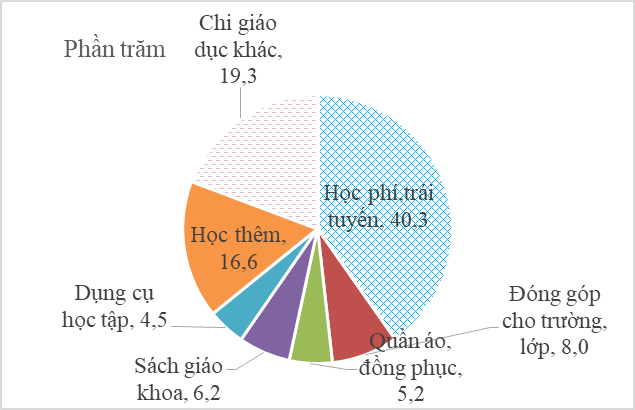 Chi phí học phí, trái tuyến chiếm 40,3% tổng chi phí dành cho giáo dục ảnh 1