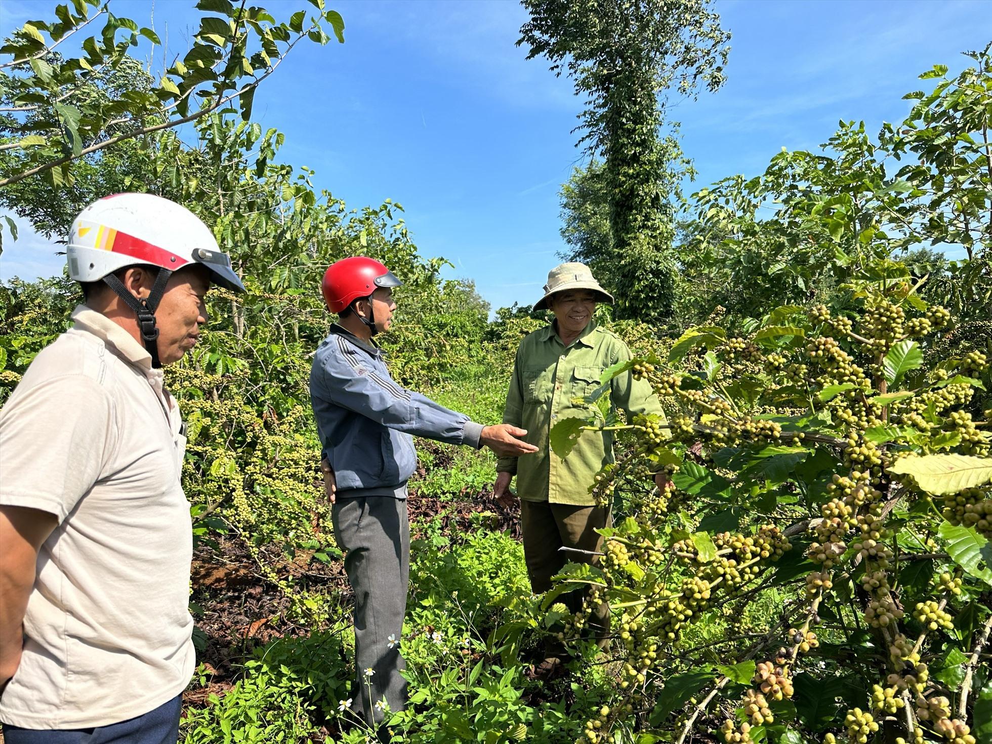 Người lao động ở 2 xã Ea Tiêu và Ea Ktur, huyện Cư Kuin đã nghiêm túc bàn giao mặt bằng để thi công tuyến đường tránh Đông, TP.Buôn Ma Thuột. Ảnh: Bảo Trung