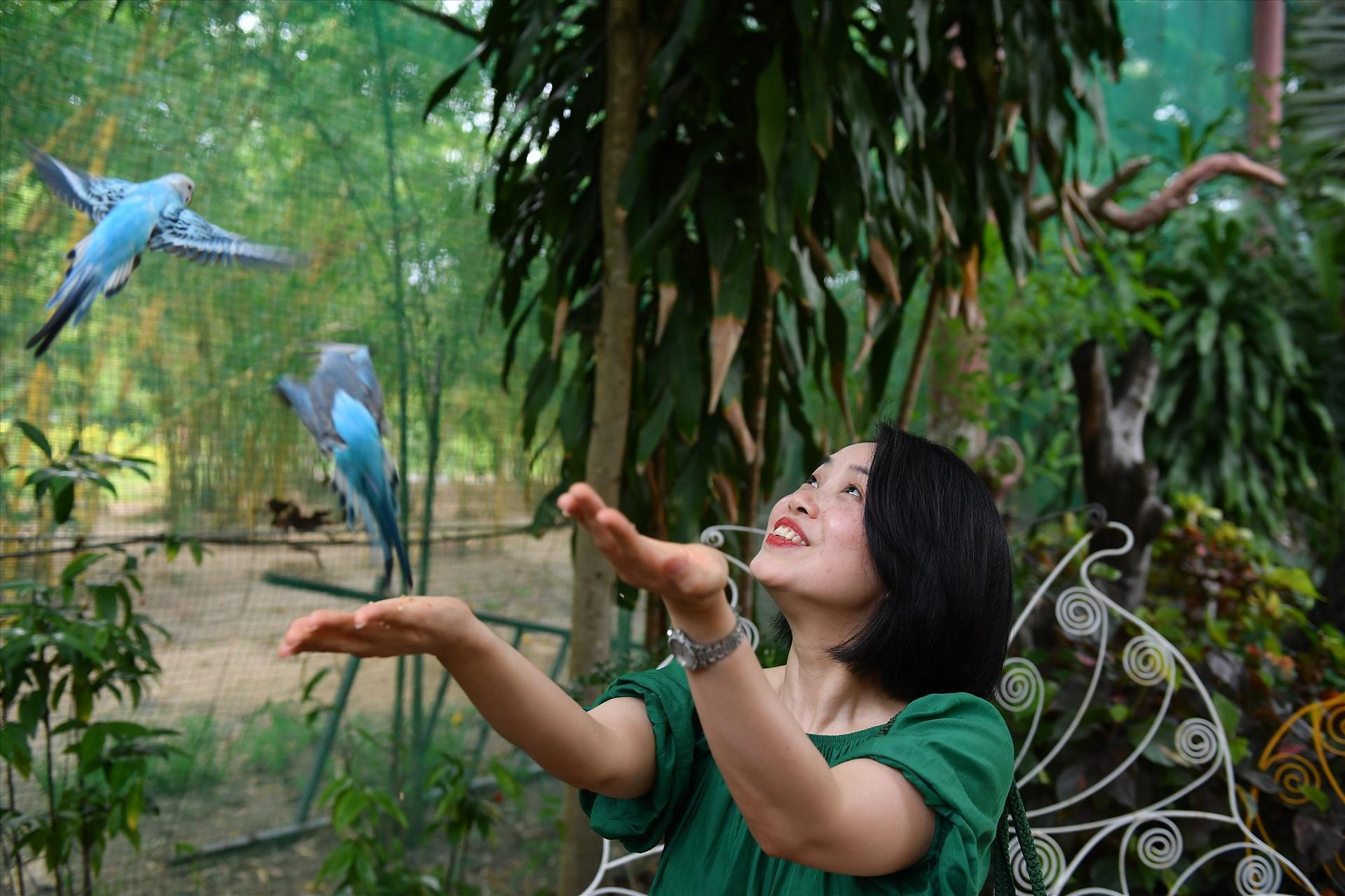 Checkin với những chú chim.