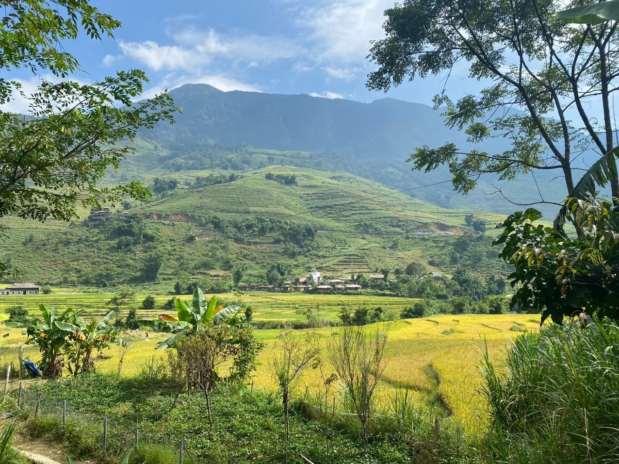 Lao Chải - Tả Van được bao quanh bởi những thửa ruộng bậc thang trải dài tít tắp. Thời điểm lý tưởng nhất để đến đây là mùa nước đổ (tháng 4 đến tháng 6) và mùa lúa chín (tháng 8 - tháng 9). Hàng năm vào mùa lúa chín, khi nơi đây khoác lên mình tấm áo vàng óng ả thu hút rất đông du khách kéo về tham quan, trải nghiệm.