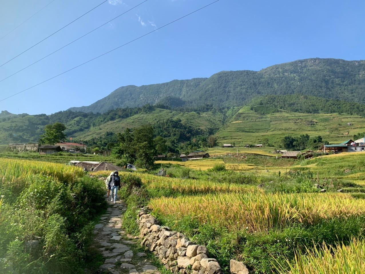 Đứng giữa những thửa ruộng bậc thang đang vào mùa thu hoạch, bạn có thể chạm vào từng bông lúa, hít hà mùi hương lúa chín để cảm nhận sự an nhiên trong lòng.