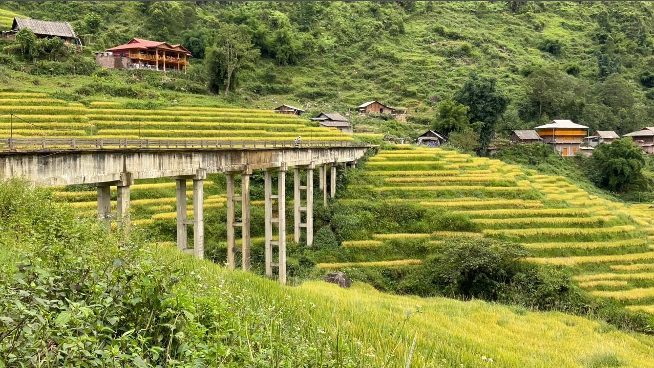 Lao Chải - Tả Van là hai bản lớn của huyện Sa Pa, Lào Cai, cách trung tâm thị trấn Sapa từ 7 - 10 km tùy vị trí xuất phát. Đây là nơi cư trú của đồng bào dân tộc Mông, Dao Đỏ, Giáy...