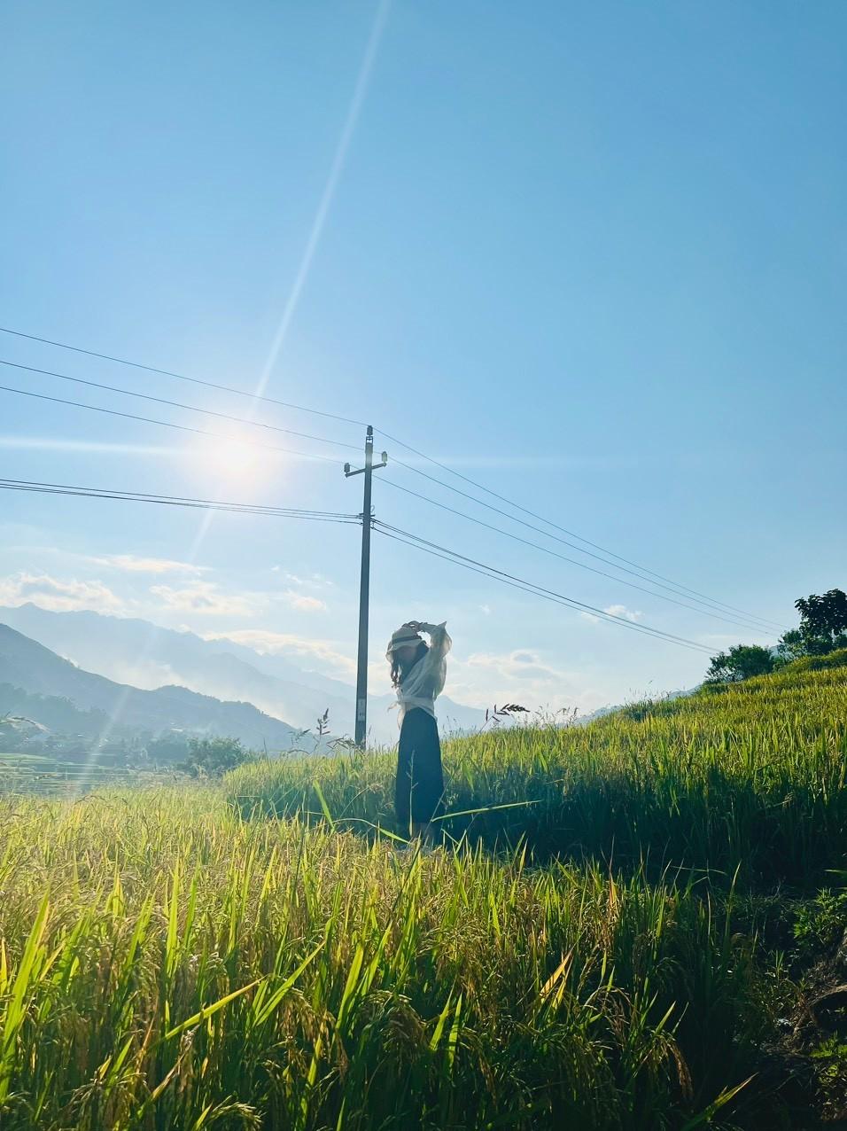 Phương Linh (Hà Nội) có dịp ghé thăm bản Tả Van - Lao Chải mùa lúa chín chia sẻ: “Mình đọc thông tin trên mạng thấy vào bản Tả Van sẽ mất phí 75.000 đồng/người, nhưng khi mình tới lại không thấy bán vé cả. Mình thoải mái dạo chơi trong bản, ghé thăm nhiều địa điểm nổi tiếng như bãi đá cổ, cầu treo Tả Van...”