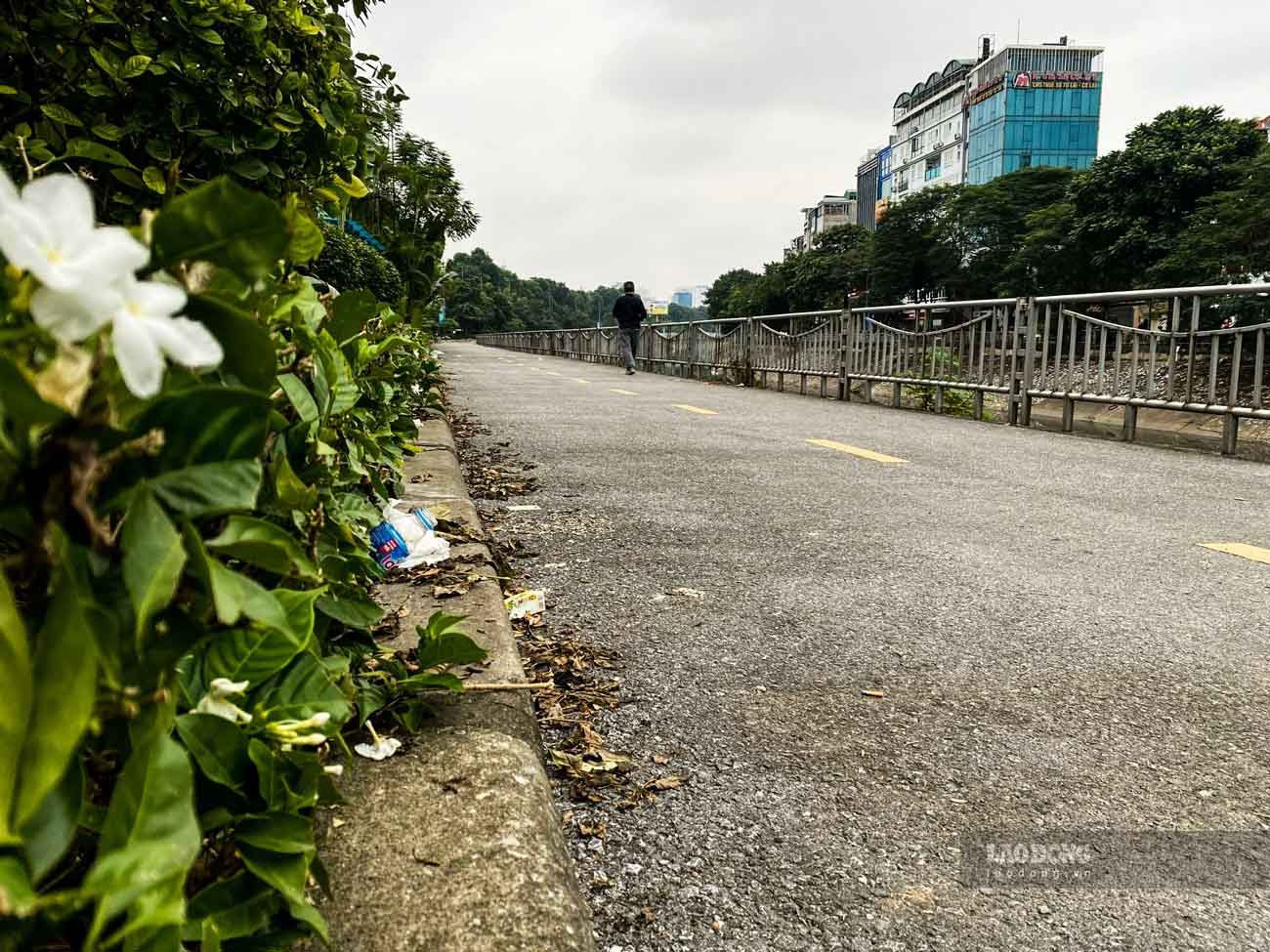 Tuyến đường dọc sông Tô Lịch có khả năng kết nối với ga Láng của đường sắt trên cao Cát Linh - Hà Đông và ga số 8 của metro Nhổn - ga Hà Nội tại khu vực Cầu Giấy. Ngoài ra, tuyến đường còn kết nối với các tuyến xe buýt trên đường Láng thông qua 6 trạm chờ.