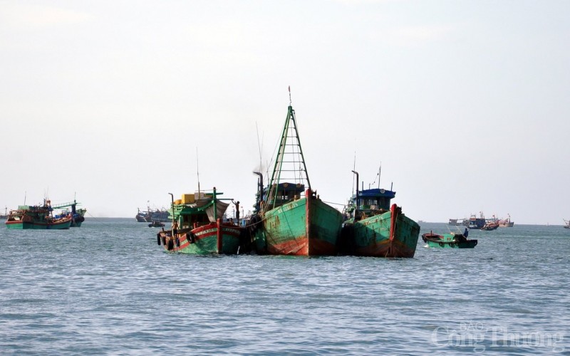 Bà Rịa – Vũng Tàu: Xử phạt chủ tàu cá và thuyền trưởng gần 1,4 tỷ đồng