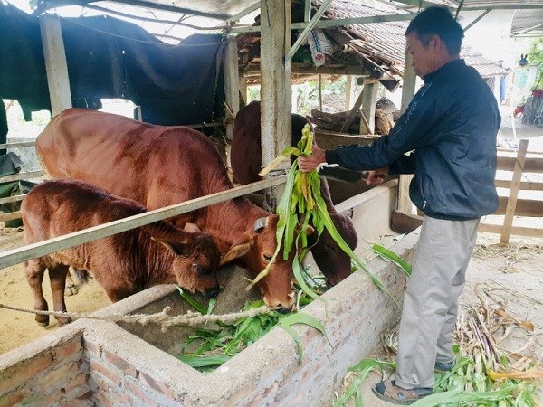 Hà Nội triển khai linh hoạt nhiều giải pháp hỗ trợ giảm nghèo bền vững