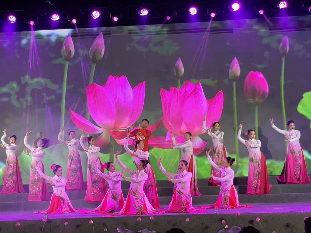 Festival diễn ra trong vòng 04 ngày với chủ đề “Thanh niên ASEAN – Nhật Bản chung tay thực hiện các mục tiêu phát triển bền vững”, gồm các hoạt động chính: Chương trình chào mừng Festival Thanh niên ASEAN – Nhật Bản với sự tham dự và phát biểu chỉ đạo của đồ