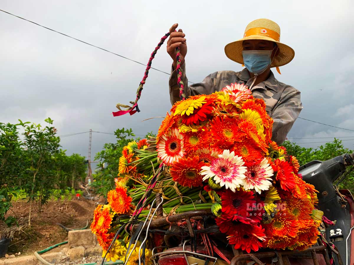 Thời điểm này, để giữ cho thân cây mập và khoẻ, nhiều