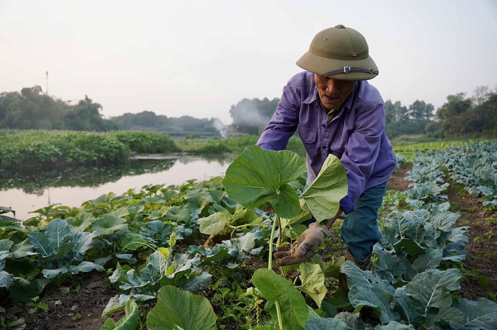 Hơn 70 năm sống ven sông Đáy nhưng chưa khi nào ông Nguyễn Đức Quyền (thôn Quyết Tiến, xã Vân Côn, huyện Hoài Đức) lại chứng kiến dòng sông đoạn chảy qua địa bàn thôn ô nhiễm như những năm qua. Ông Quyền kể, hồi những năm 1995 - 1996, nước sông còn trong, sạch. Thanh niên trong làng thường rủ nhau xuống tắm sông vào mỗi buổi chiều. Nhiều hộ dân sống bám ven sông, sống bằng nghề đánh cá.