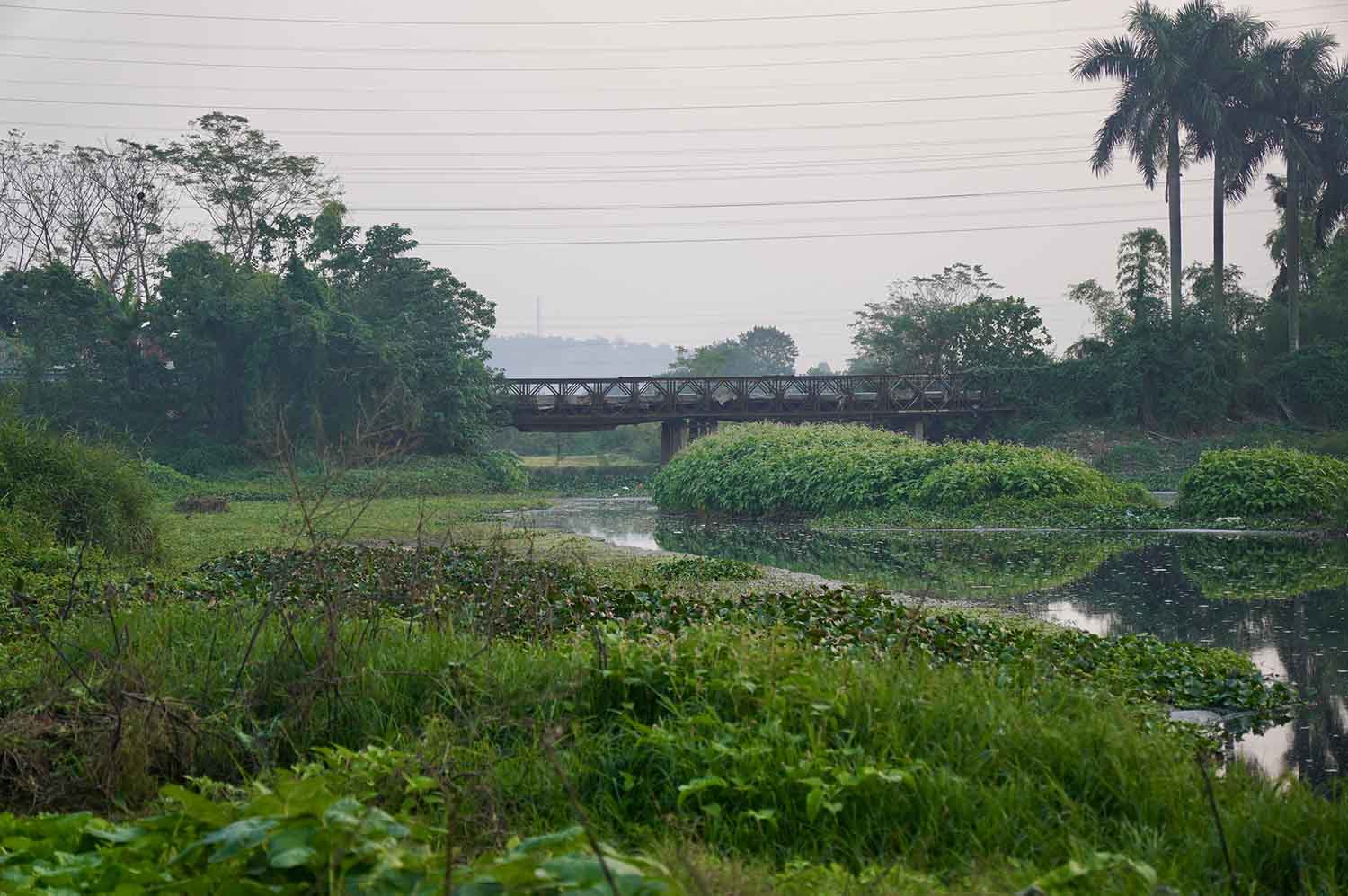 Bộ TNMT sẽ trình Thủ tướng Chính phủ ban hành và tổ chức thực hiện kế hoạch quản lý chất lượng nước mặt lưu vực sông Nhuệ - Đáy nhằm quản lý, ngăn chặn, hạn chế, tiến tới chấm dứt tình trạng ô nhiễm môi trường lưu vực sông.  Ngoài ra, cơ quan này cũng kiến nghị với Thủ tướng Chính phủ chỉ đạo các địa phương tiếp tục triển khai, thực hiện kiểm soát nguồn thải vào lưu vực sông, triển khai các dự án khắc phục ô nhiễm môi trường.