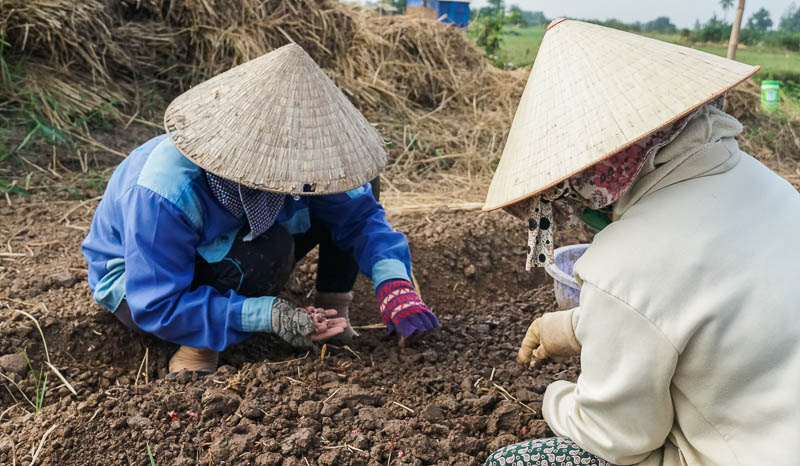 Đa số những lao động này đều có hoàn cảnh khó khăn, không hoặc có rất ít đất sản xuất.