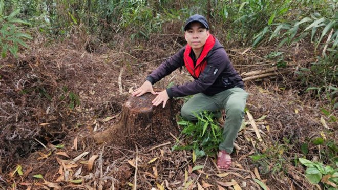 Máu rừng phòng hộ đang âm ỉ chảy