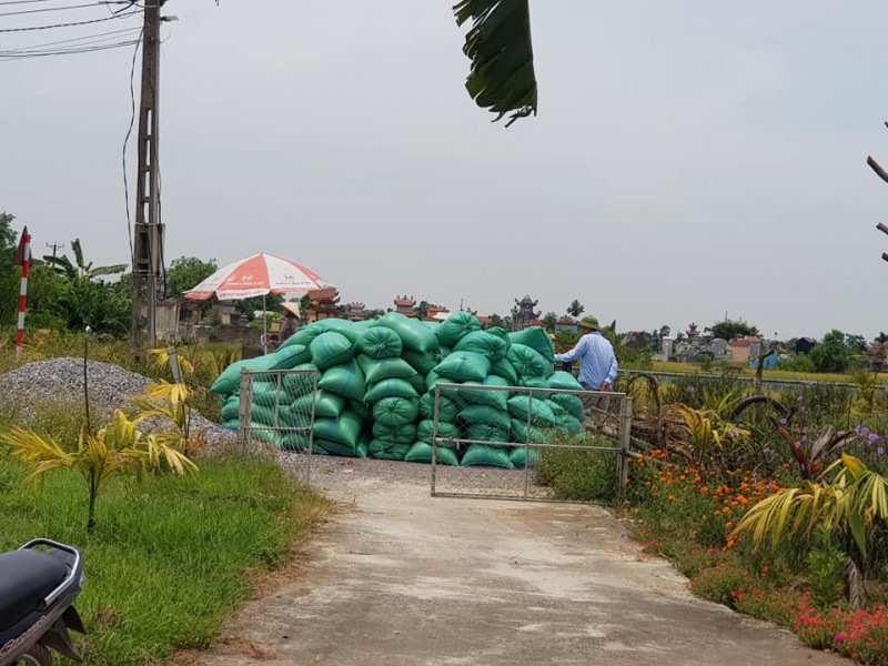 Giá lúa gạo hôm nay ngày 15/2: Các kho đồng loạt khai trương, giao dịch sôi động trong phiên đầu năm mới