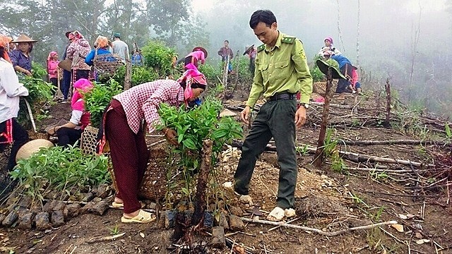 Quy định mới của Luật Đất đai 2024 có hiệu lực từ ngày 1/4/2024