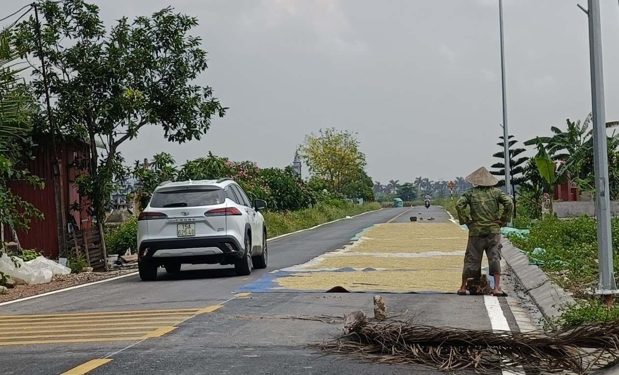 Phơi thóc lúa lấn chiếm lòng đường ở xã Du Lễ. Ảnh: Hoàng Khôi