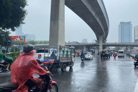 Ảnh minh họa: Ngọc Nga