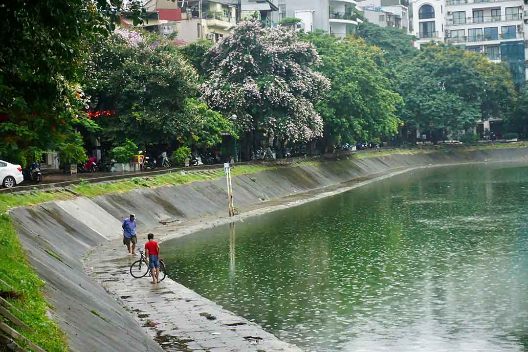 Tại đây còn có khu vực đi bộ ngay sát hồ Ngọc Khánh. Ảnh: Nhật Minh