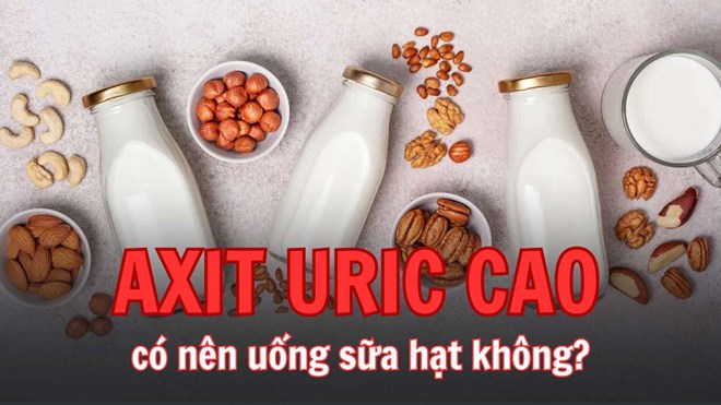 Axit uric cao có nên uống sữa hạt không?