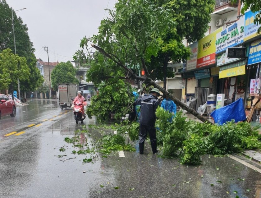 Bão số 2 quật đổ cây trên địa bàn thành phố Hạ Long.