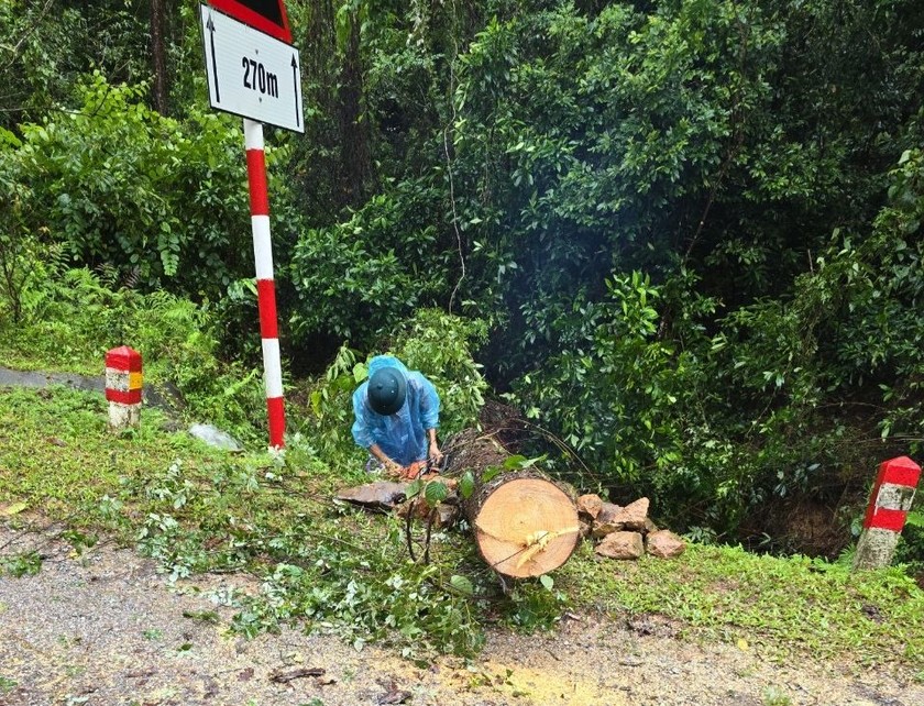 Cây gãy trên địa bàn xã Đồng Lâm, chính quyền xã dọn dẹp đảm bảo giao thông thông suốt.