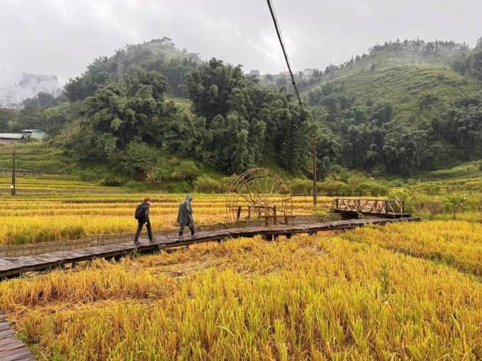 lao cai ra mat 4 tour du lich ket hop thien nguyen sau bao yagi hinh 1