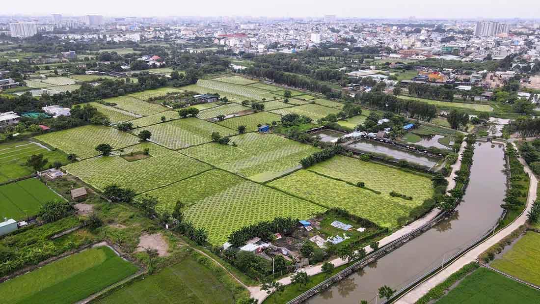 Công viên đa chức năng Quận 12 là công viên có diện tích rộng thứ 2 ở TPHCM.