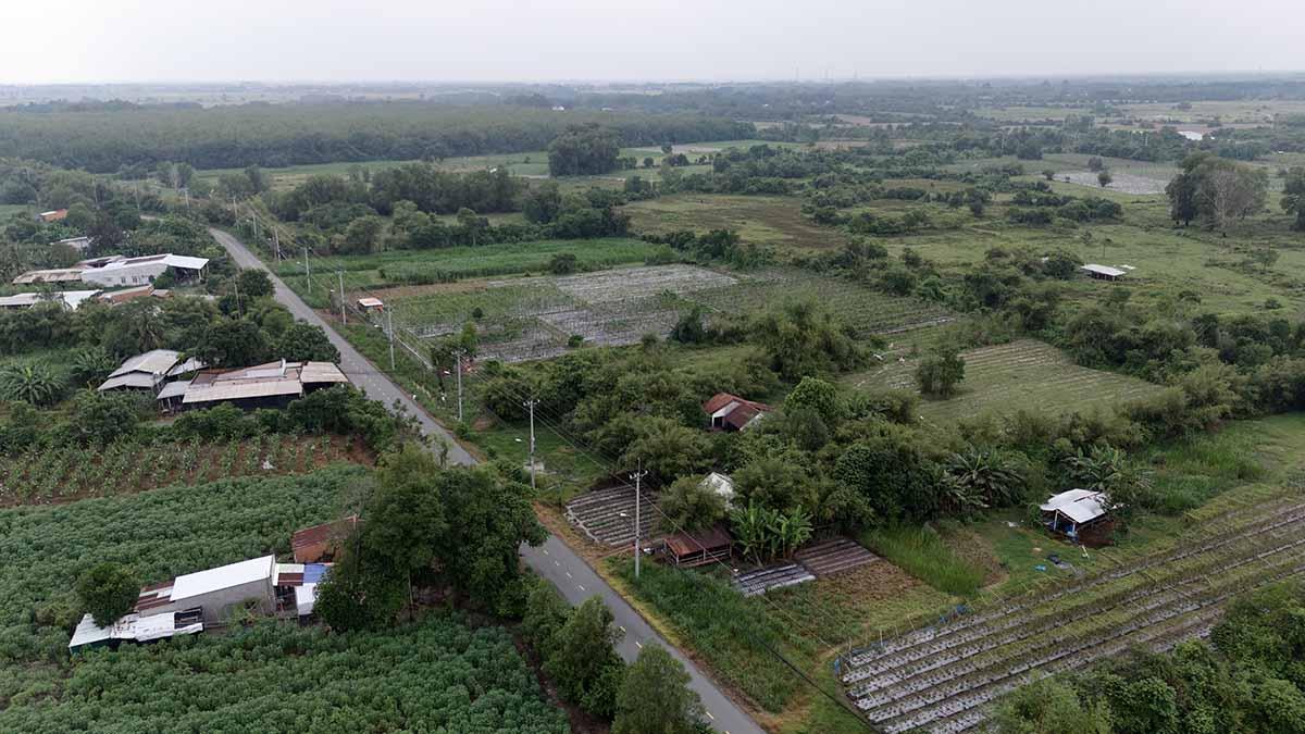 Công viên Sài Gòn Safari (huyện Củ Chi). Ảnh: Như Quỳnh