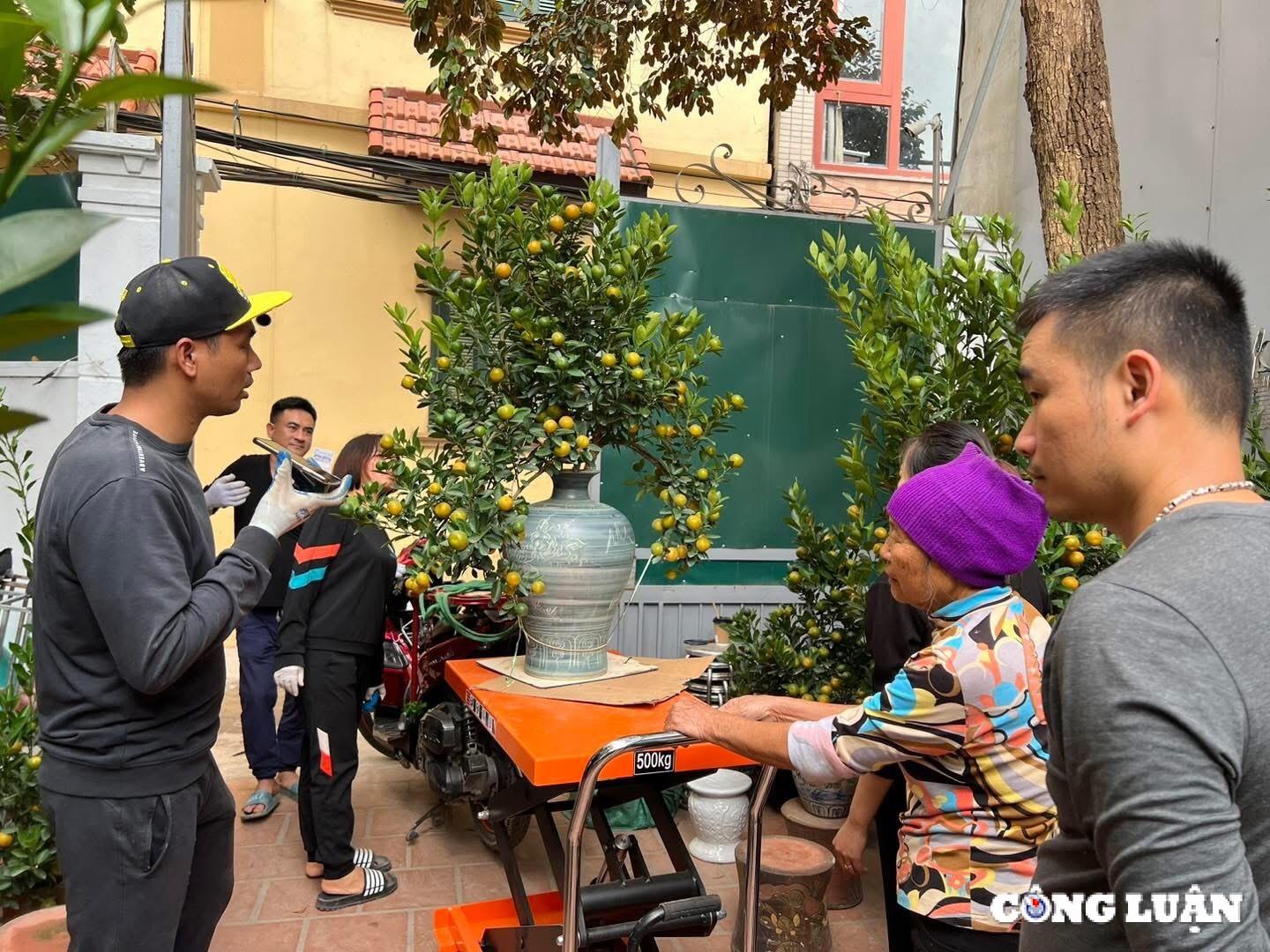 gia quat tang cao thuong lai tranh nhau dat coc som hinh 3