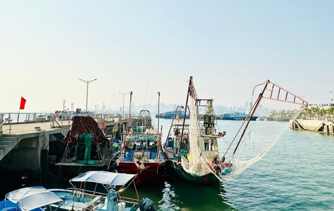 Liên tục bắt tàu đánh bắt thủy sản ở vùng lõi vịnh Hạ Long