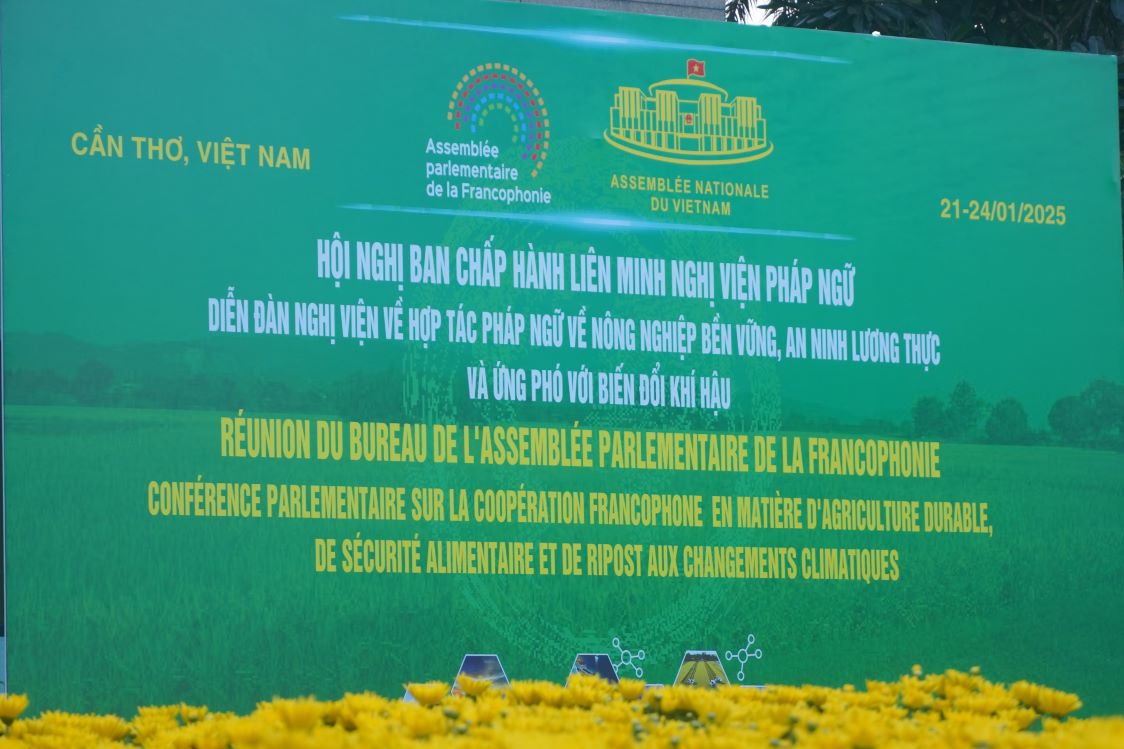 Cần Thơ. Ảnh: Tạ Quang