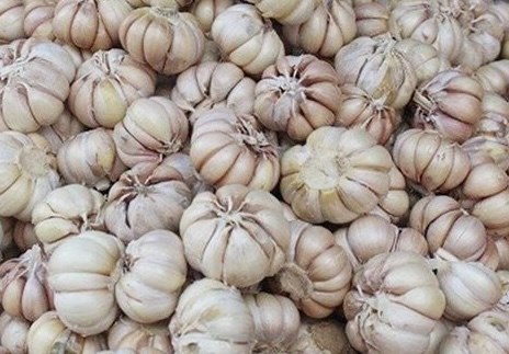Cách ăn tỏi để giải độc gan