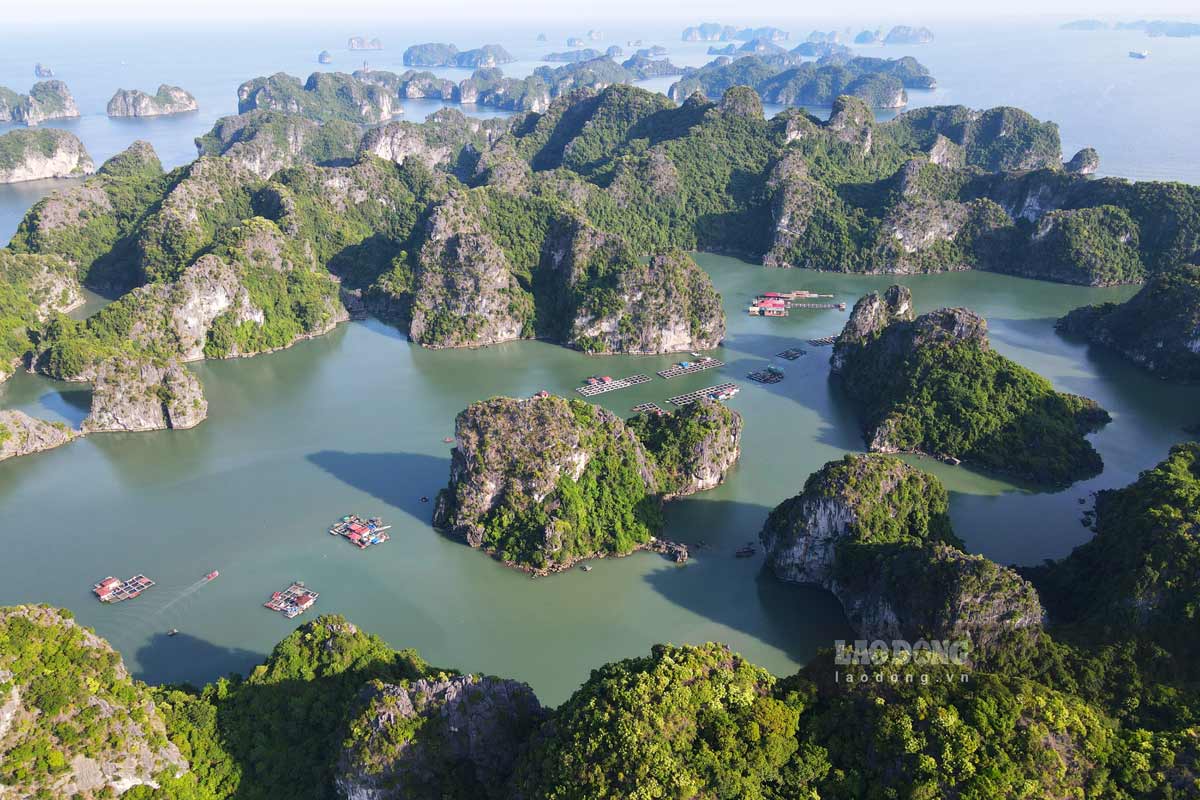 Vịnh Hạ Long. Ảnh: Lao Động