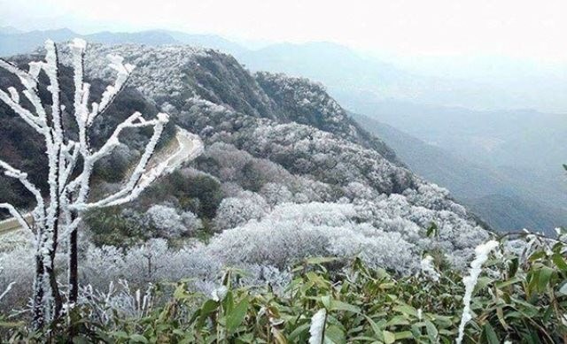 Không khí lạnh càn quét, nhiệt độ giảm sâu hơn dự báo