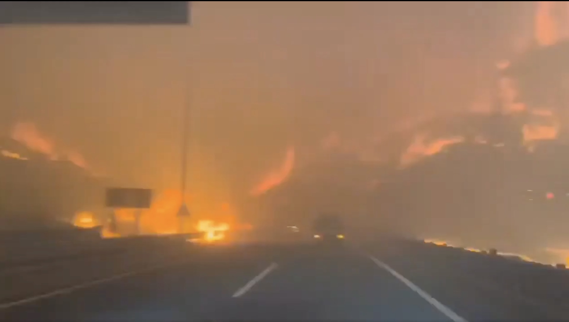 so nguoi chet trong vu chay rung o han quoc tang len 18 hinh 1