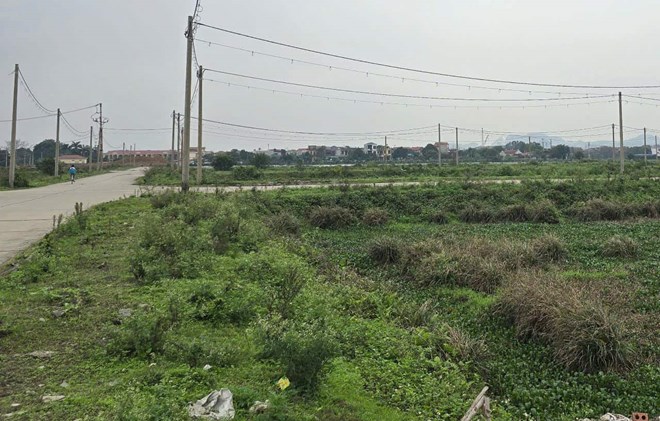Khoảng 1 tháng trở lại đây, giá đất nền tại thành phố Hoa Lư (Ninh Bình) tăng chóng mặt. Ảnh: Nguyễn Trường