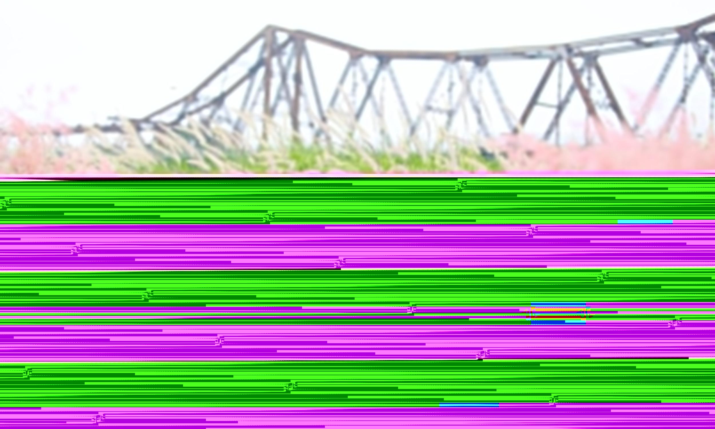 ff854a41-10a0-4d51-9221-b7f5679321ab_1_201_a.jpeg