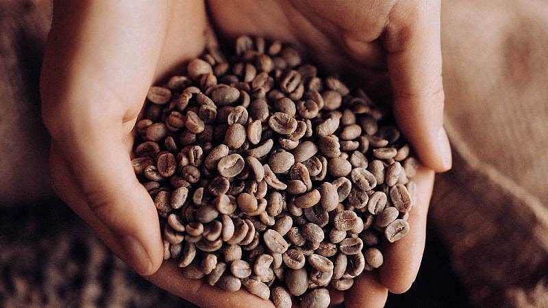 Giá nông sản hôm nay 26/5/2025: Giá cà phê và hồ tiêu tiếp tục duy trì ở mức cao