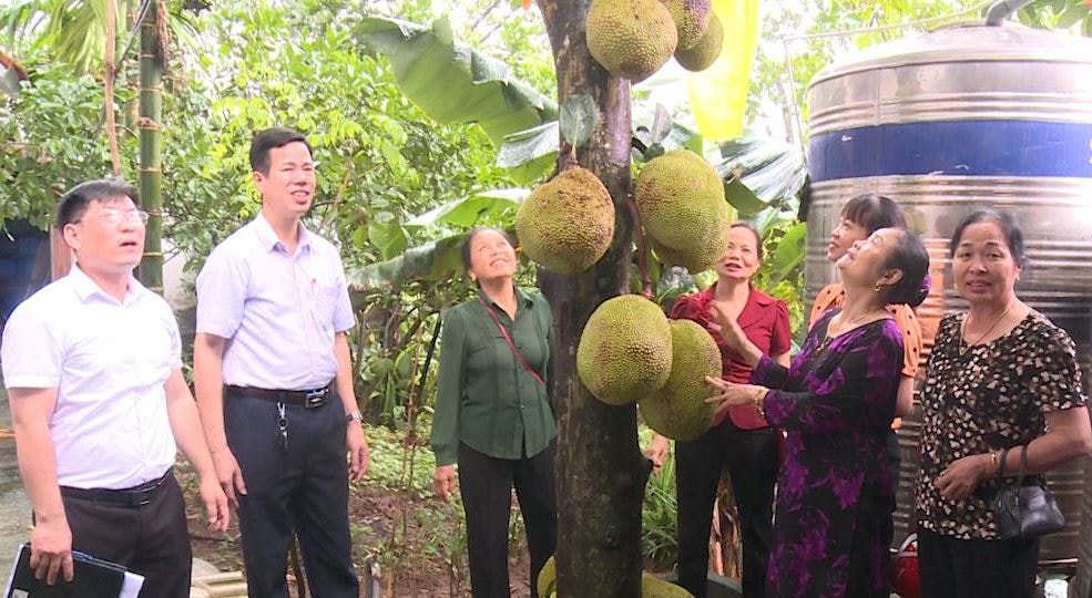 Cán bộ huyện Phúc Thọ khảo sát thực tế vườn mít của gia đình bà Bùi Thị Hồng, thôn 4, xã Nam Hà, huyện Phúc Thọ. Ảnh: Minh Tuyết