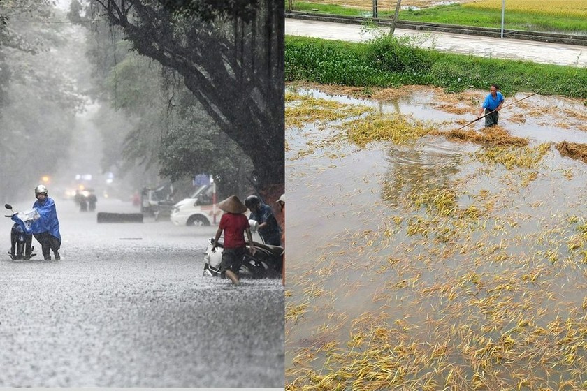 Mưa lớn bất thường xen kẽ nắng nóng đang gây áp lực lớn đến đời sống người dân, đặc biệt là sản xuất nông nghiệp. (Ảnh minh họa: Báo Hà Tĩnh, Báo Lào Cai)
