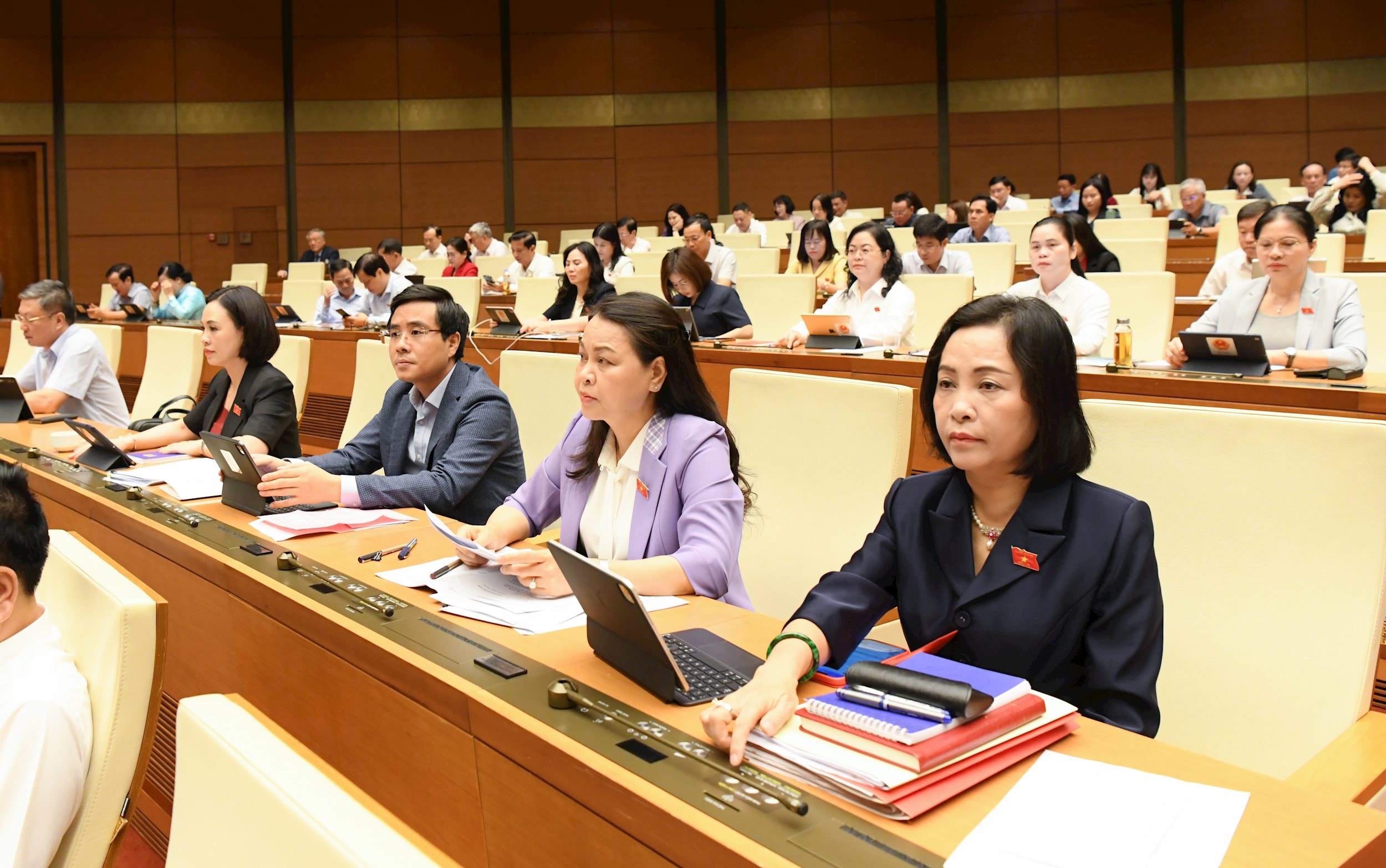 Bâm nút thông qua điều chỉnh chương trình kỳ họp.1