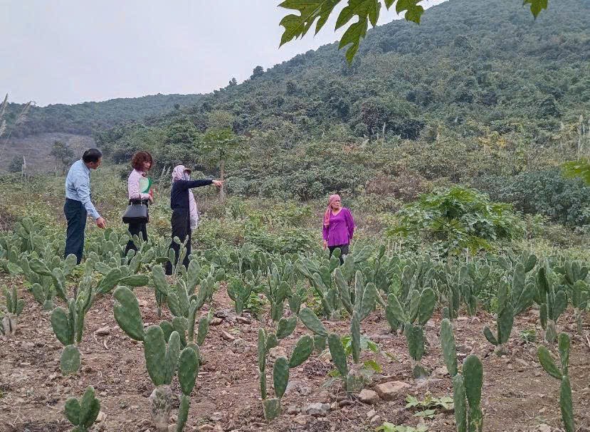 Mô hình sản xuất hiệu quả, thoát nghèo nhờ vốn vay tín dụng chính sách ở tỉnh Hà Nam.