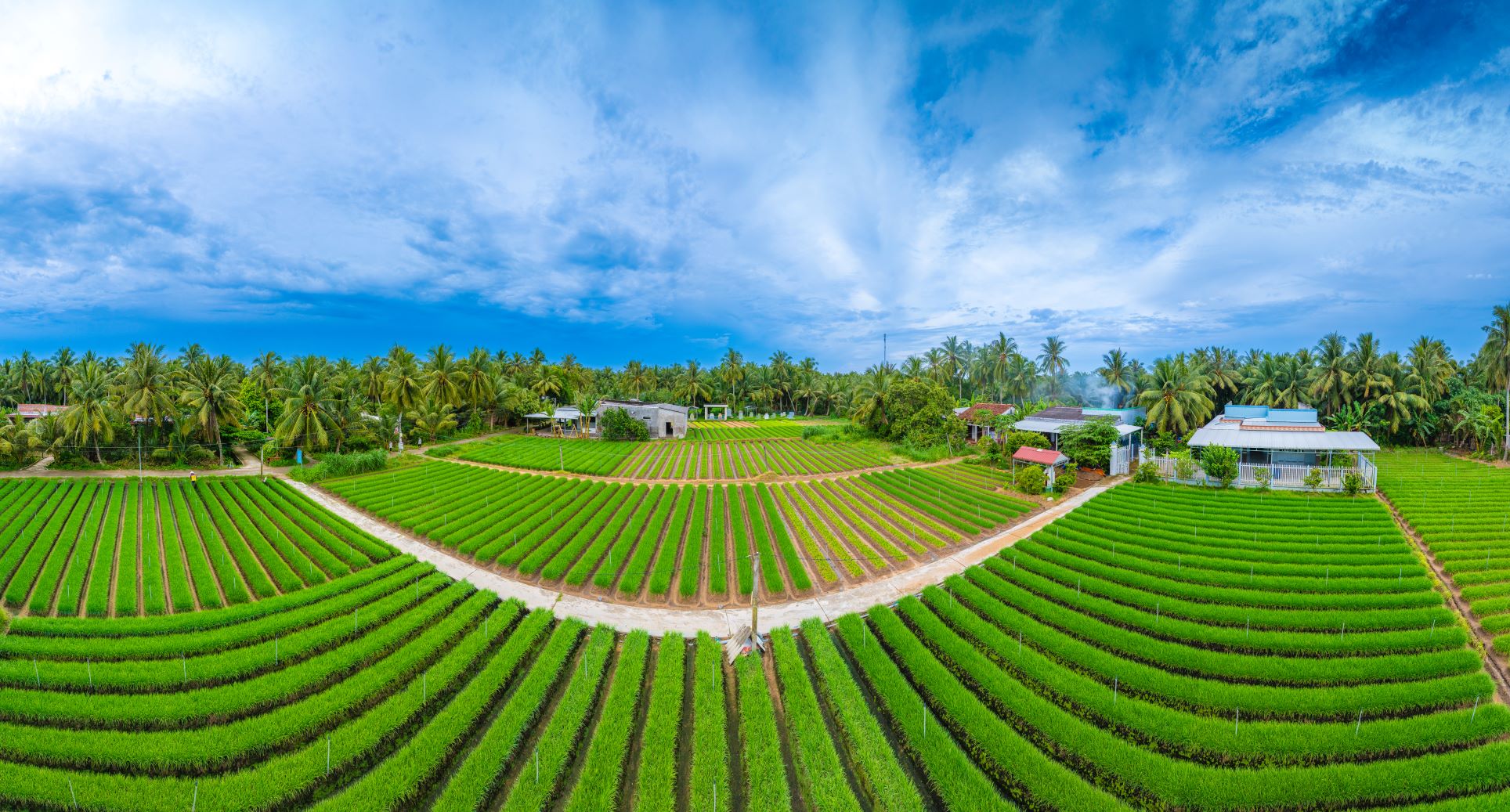 Góc panorama (chụp góc rộng) ở một làng quê Bến Tre cũ. Dù chỉ có thời gian 1-2 ngày ghé qua nhưng anh Vũ Khoa cũng tranh thủ bắt được các khoảnh khắc cuộc sống mang đậm “tình quê“. Những hình ảnh khiến nhiếp ảnh gia phải thú nhận “tình quê Bến Tre thắm đượm làm mãi vẫn vương mảnh đất này“.