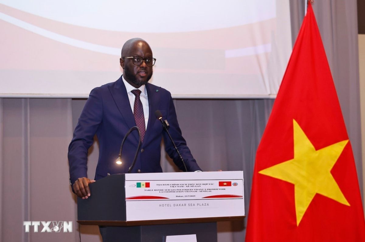 Chủ tịch Quốc hội Senegal Malick Ndiaye phát biểu. Ảnh: TTXVN