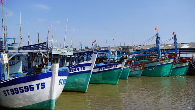 Cần Thơ siết chặt quản lý, chống khai thác thủy sản IUU bất hợp pháp