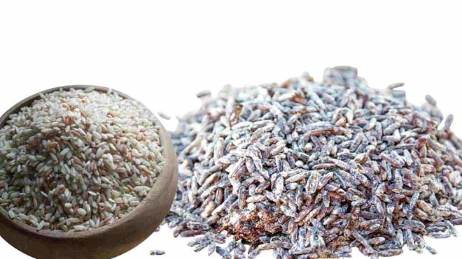 Loại gạo gây hại gan, thận