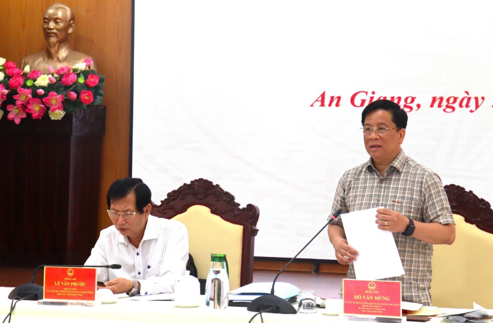 Chủ tịch UBND tỉnh Hồ Văn Mừng phát biểu chỉ đạo. Ảnh: Ngọc Mai